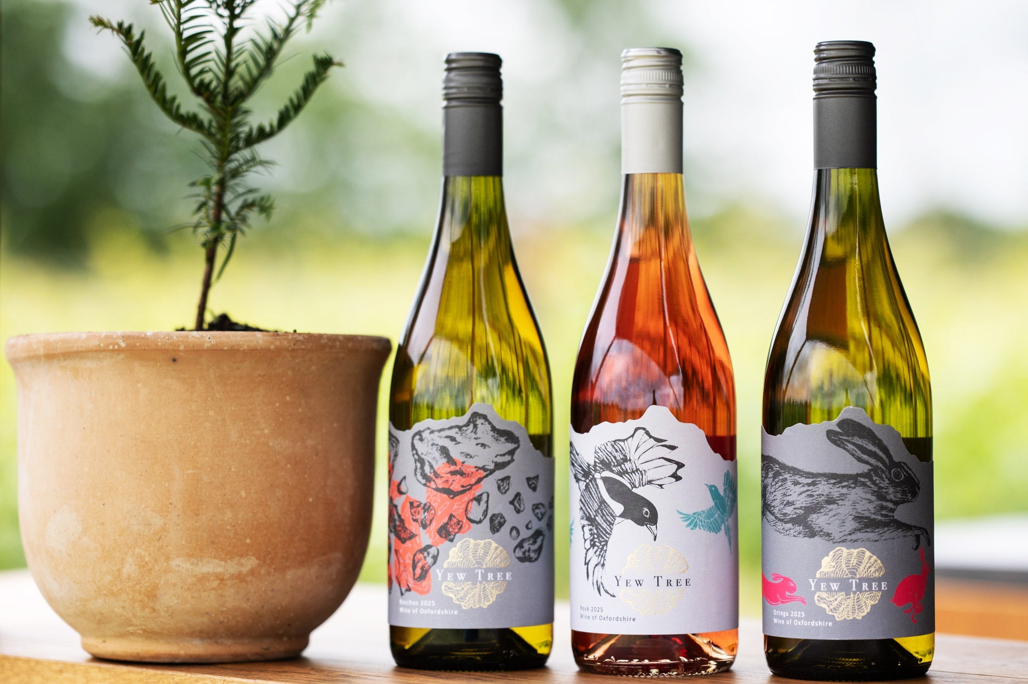 Wine Collection