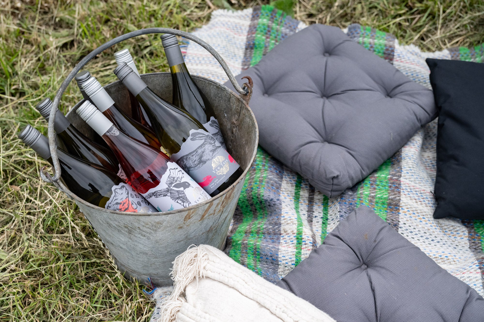 Party in the Vines Tickets