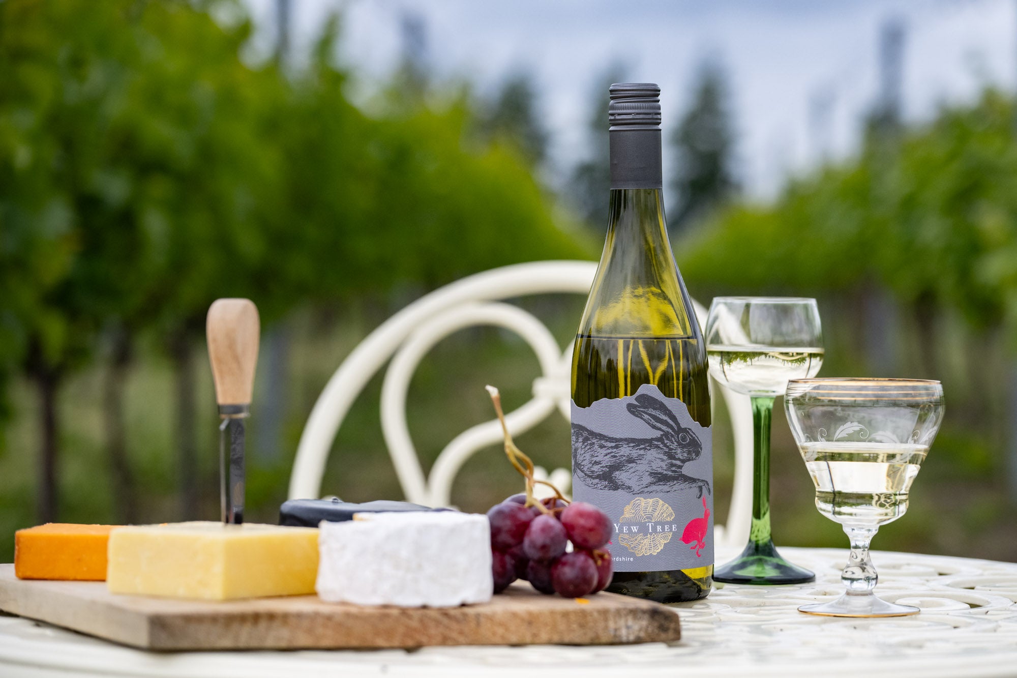 Party in the Vines Tickets