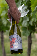 Bacchus